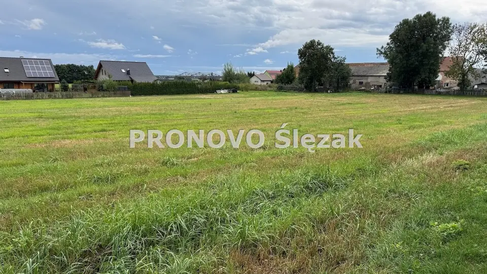 Zdjęcie 3