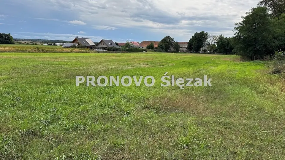 Zdjęcie 4