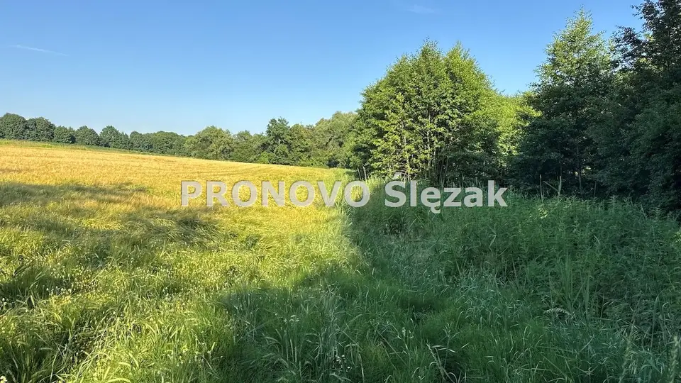 Działka budowlana i siedliskowa 3 700 m², Borkowice