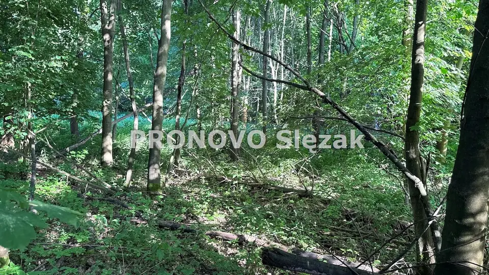 Zdjęcie 3