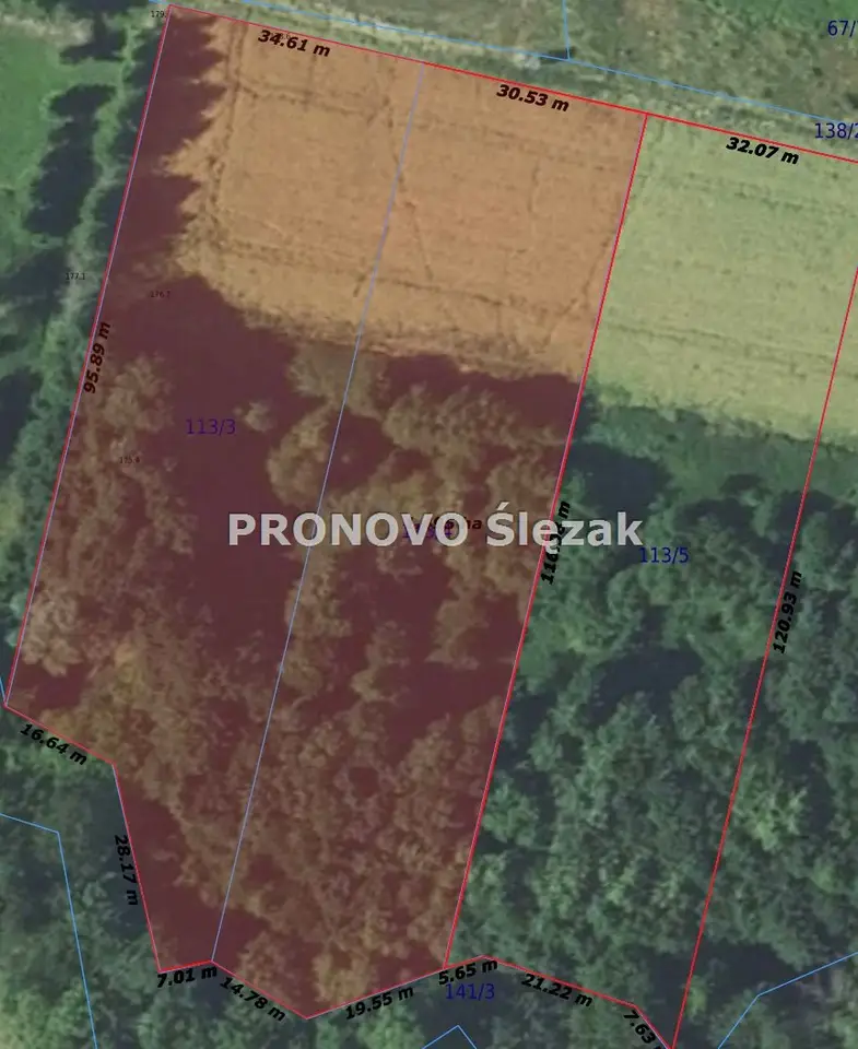 Zdjęcie 6