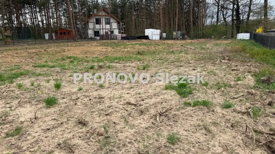Zdjęcie 3