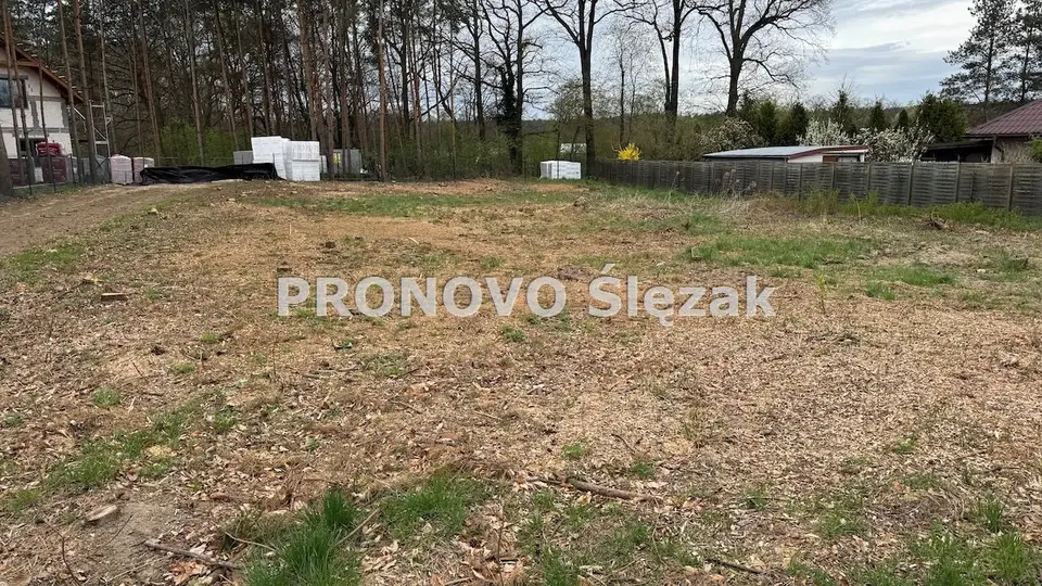 Zdjęcie 4