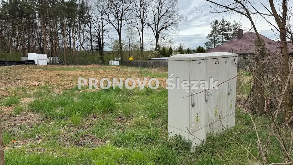 Zdjęcie 5