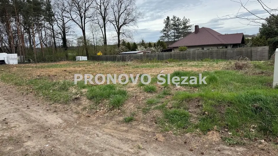 Zdjęcie 6