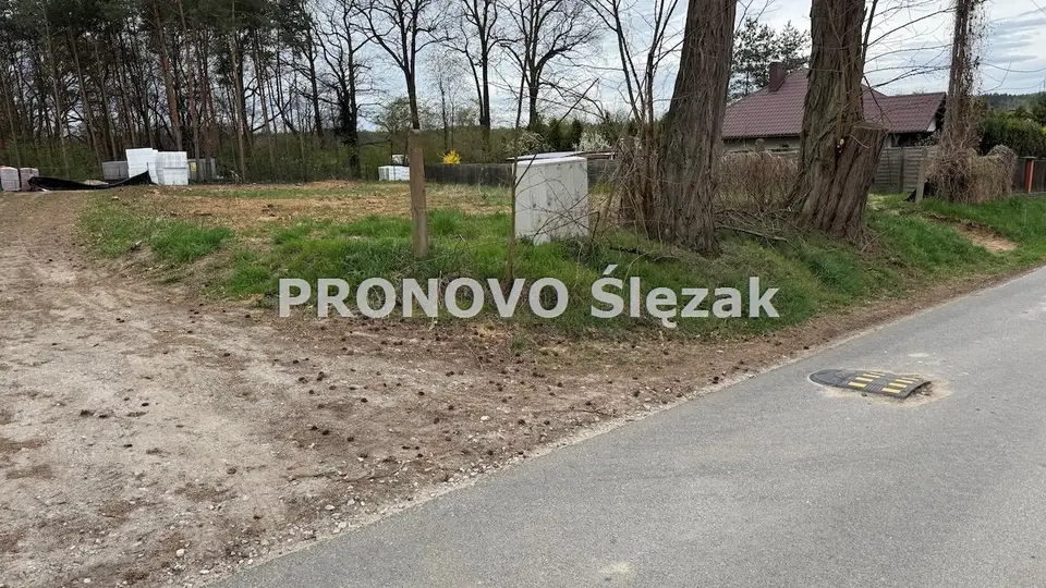 Zdjęcie 7