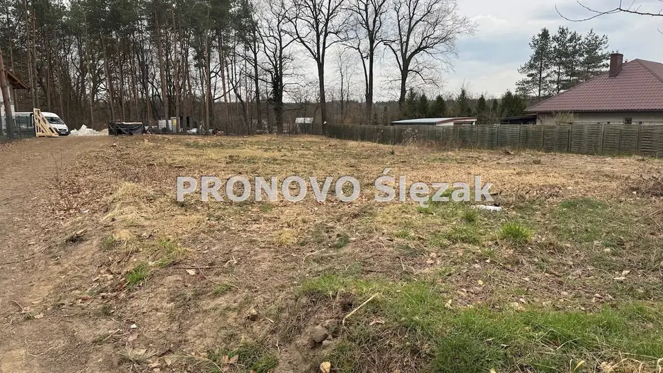 Zdjęcie 8