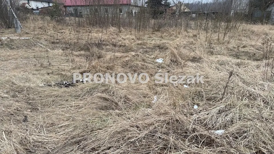 Zdjęcie 2
