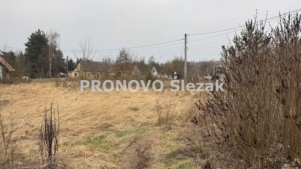 Zdjęcie 3