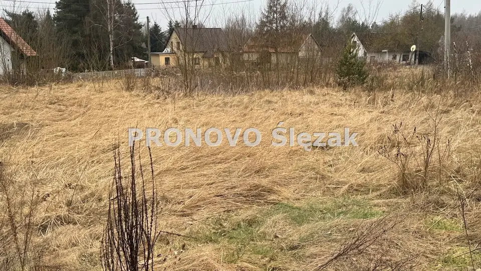 Zdjęcie 4