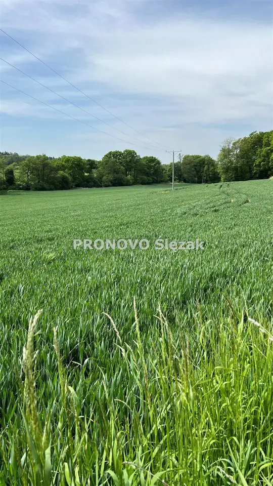 Zdjęcie 7