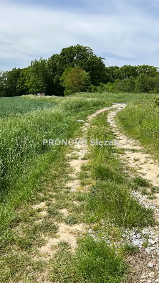 Zdjęcie 9
