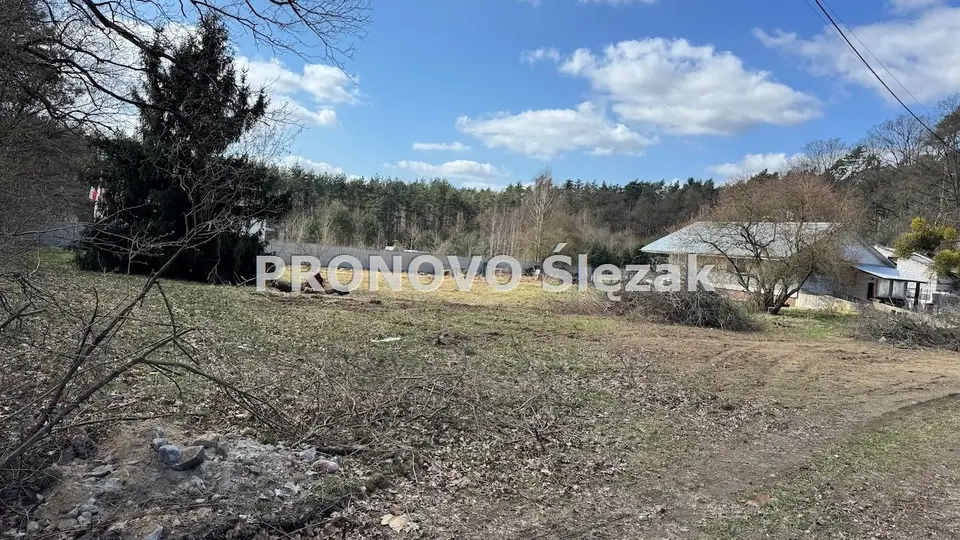 Zdjęcie 6