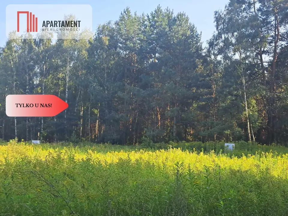 Działka budowlana i leśna 1 000 m², Miękinia