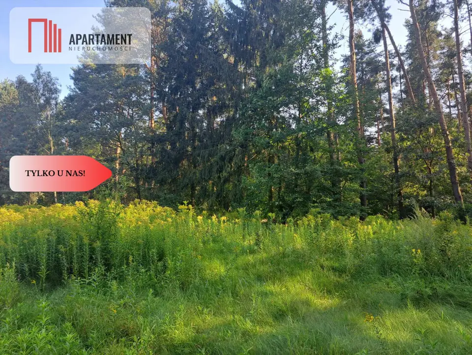 Zdjęcie 4