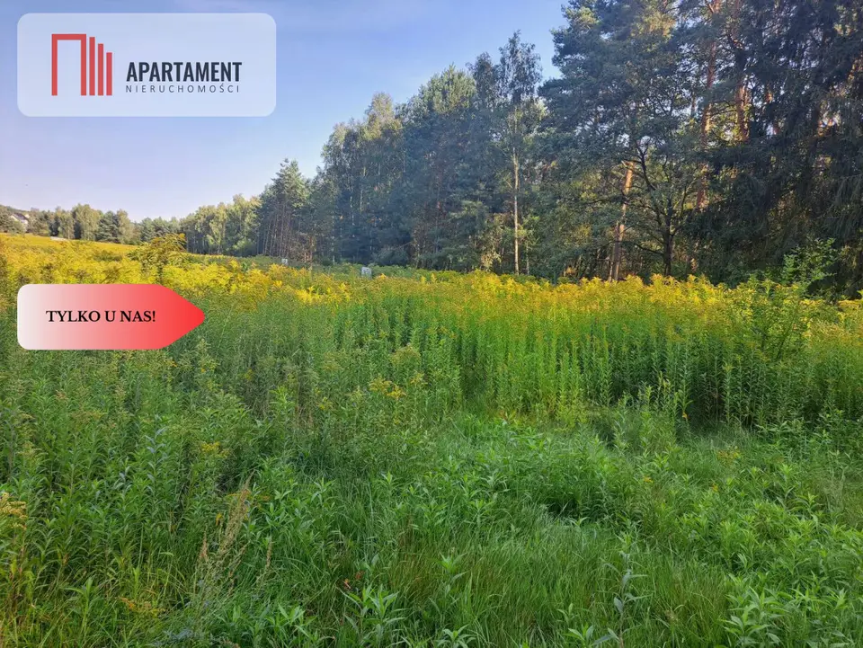 Zdjęcie 5