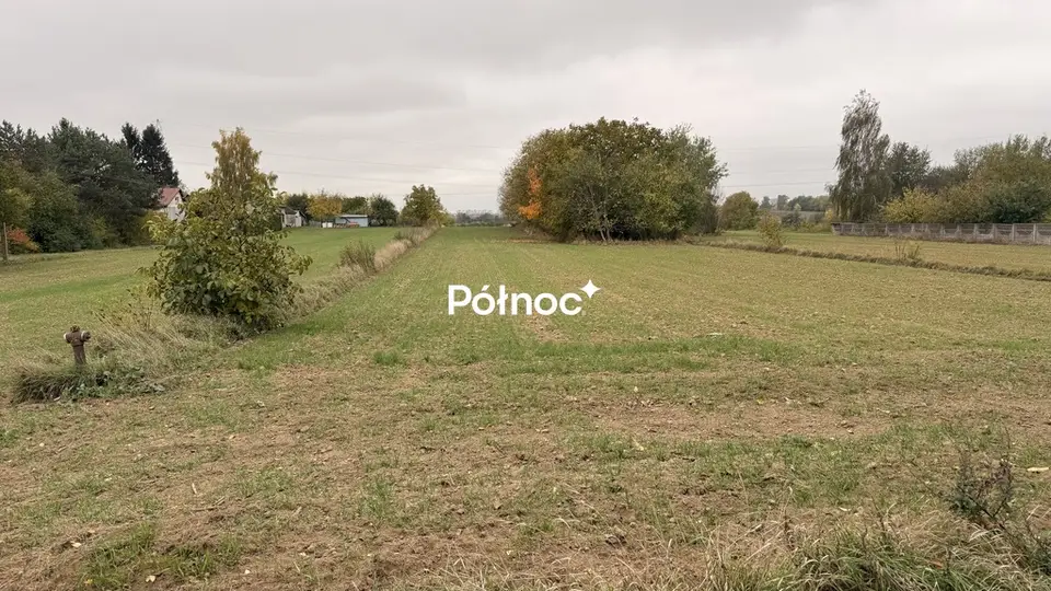 Zdjęcie 3