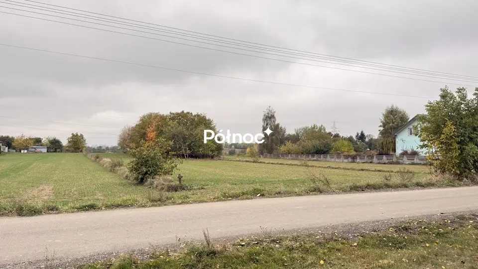 Zdjęcie 4