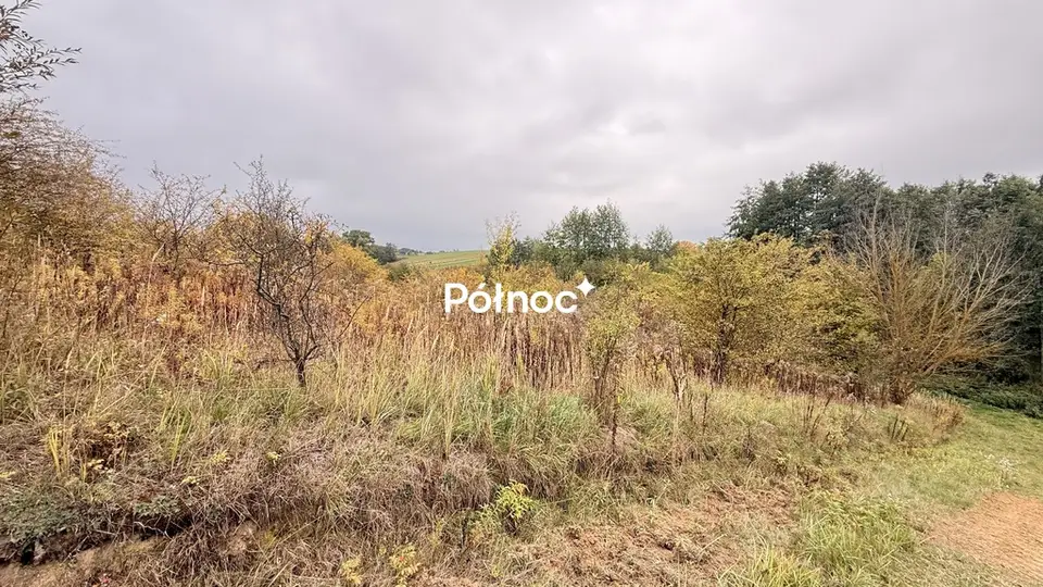 Zdjęcie 5