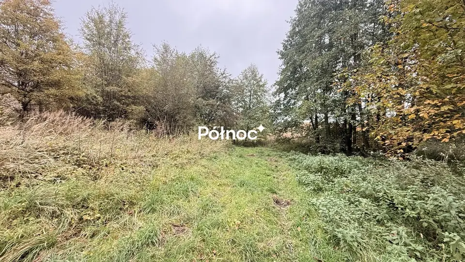 Zdjęcie 6