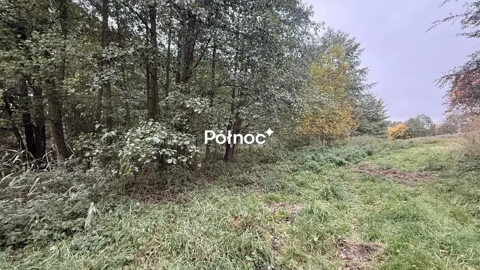 Zdjęcie 7