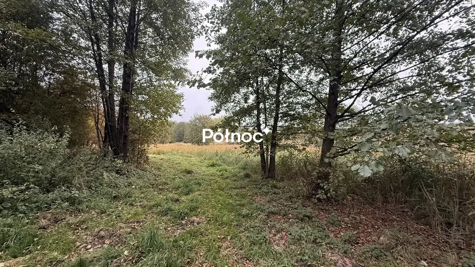 Zdjęcie 8