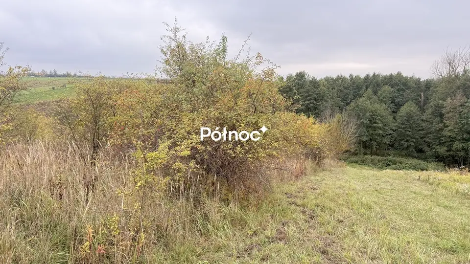 Zdjęcie 9