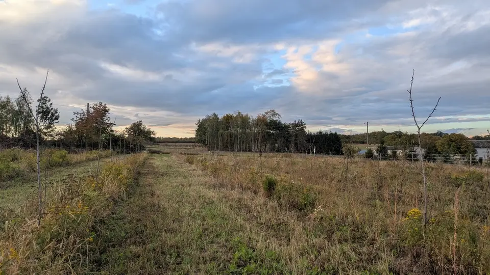 Działka budowlana 2 000 m², Kolonia Góra Puławska