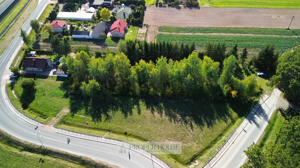 Działka budowlana 3 000 m², Zemborzyce Tereszyńskie
