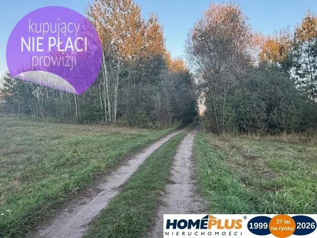 Działka rolna 2 ha, Stary Kraszew
