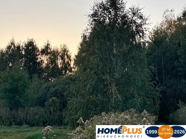 Zdjęcie 5