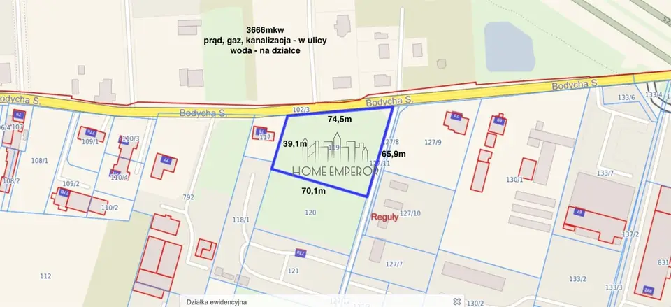 Zdjęcie 3