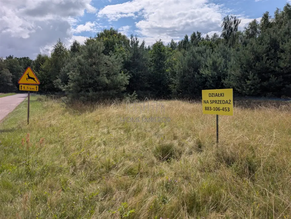 Zdjęcie 5