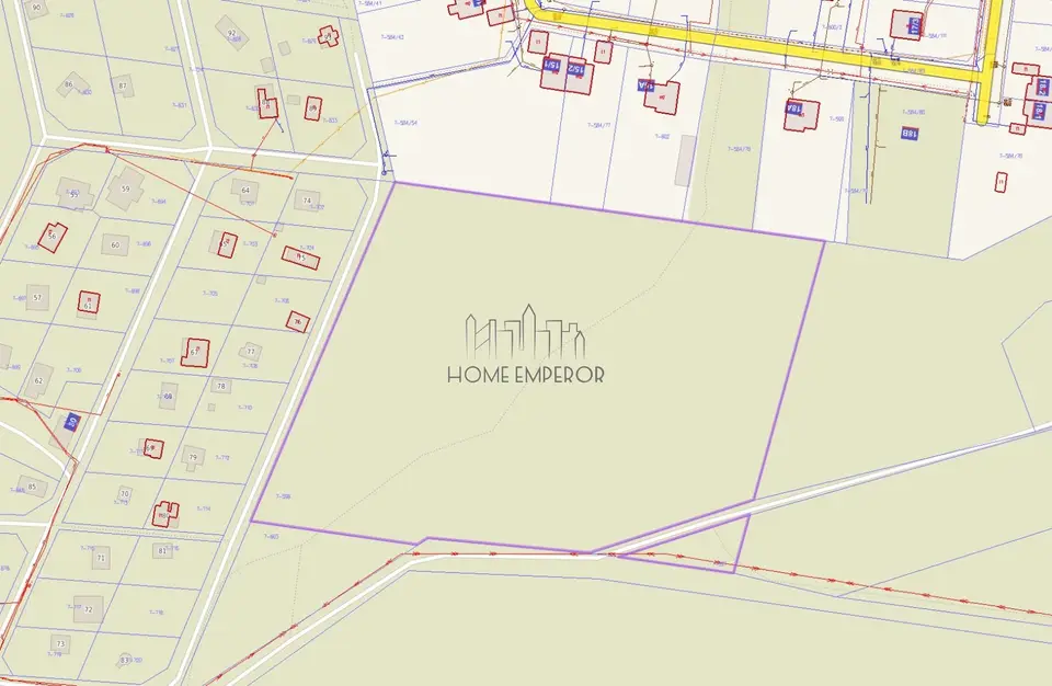 Zdjęcie 2