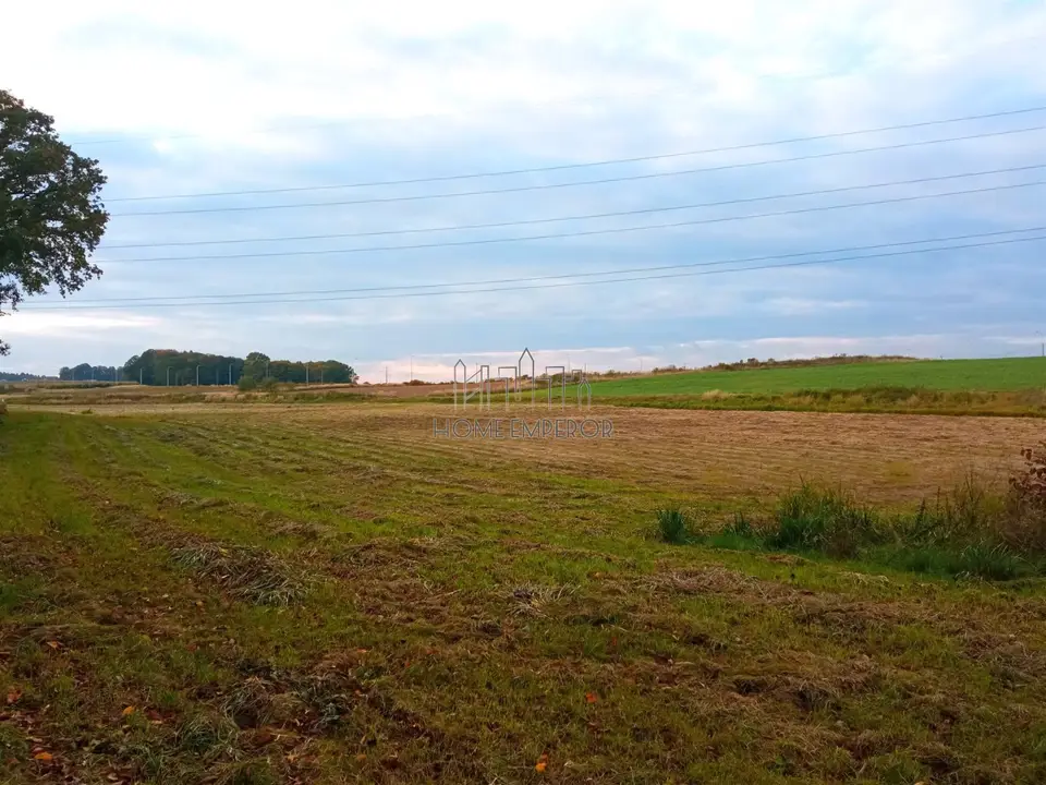 Zdjęcie 8
