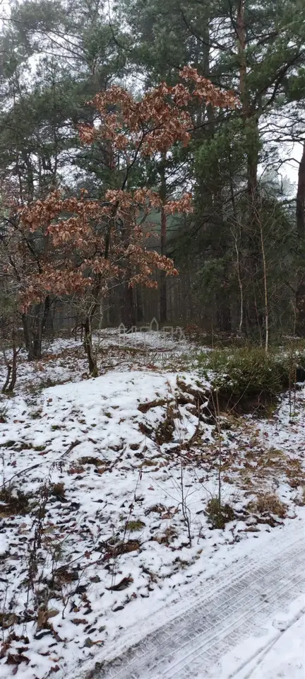 Działka leśna 9 884 m², Józefów