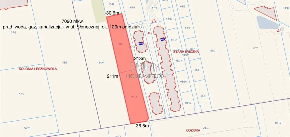 Zdjęcie 2
