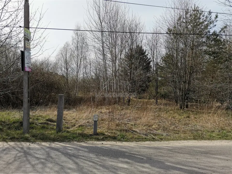 Zdjęcie 6