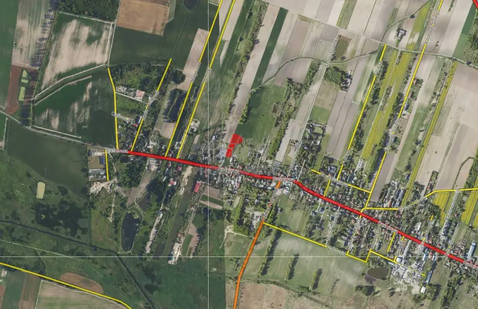Zdjęcie 5
