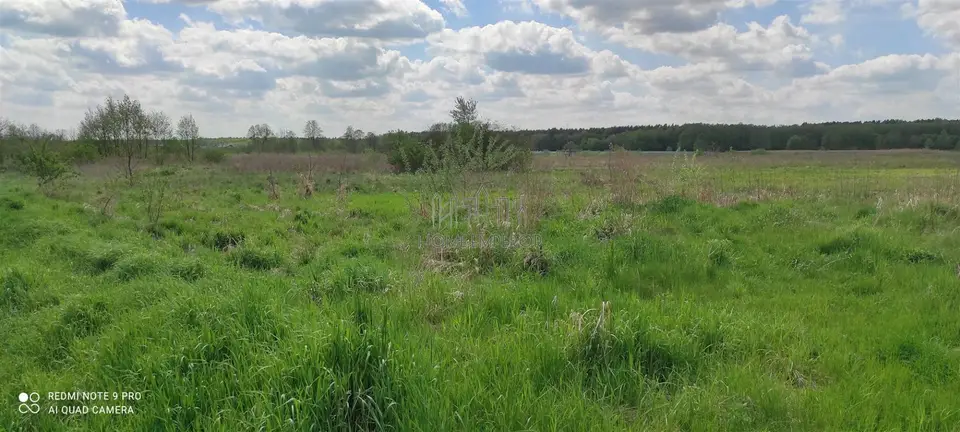 Zdjęcie 3