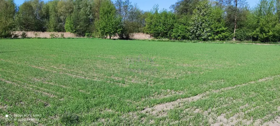 Zdjęcie 6