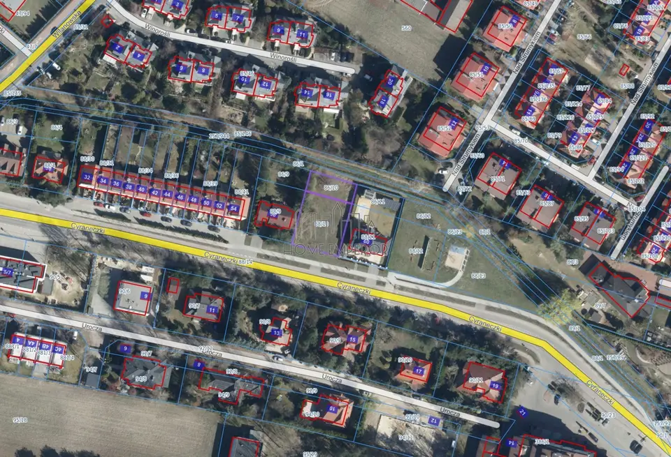 Zdjęcie 4