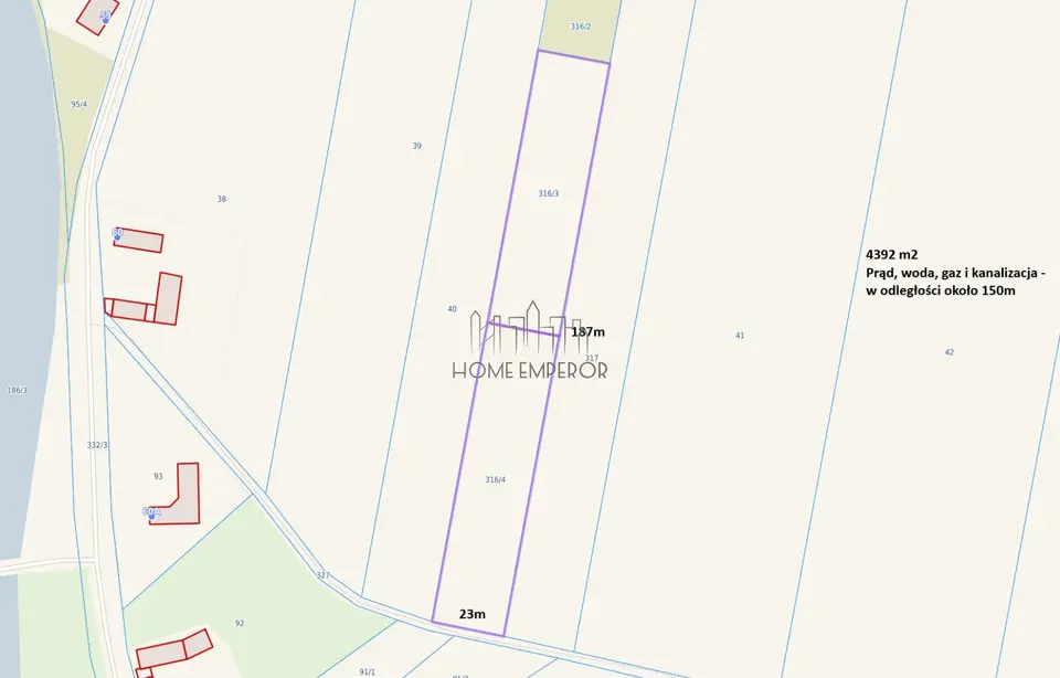 Zdjęcie 2