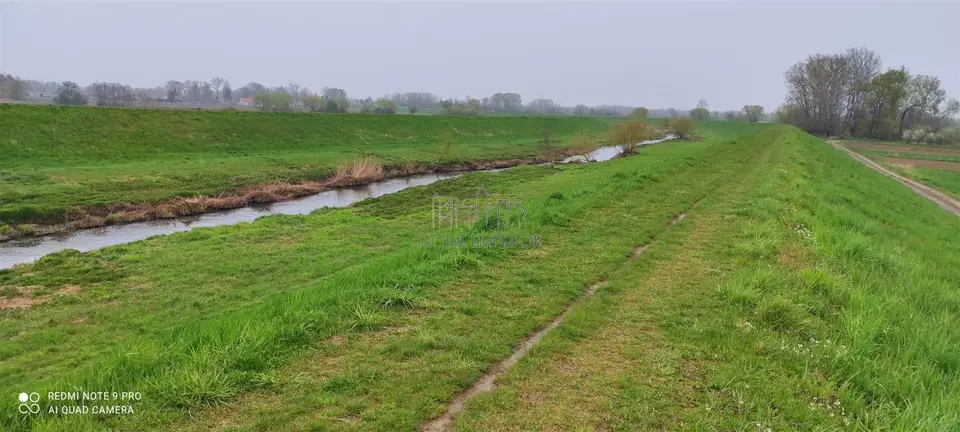 Zdjęcie 6