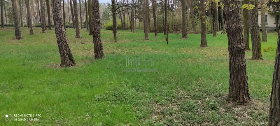 Zdjęcie 2