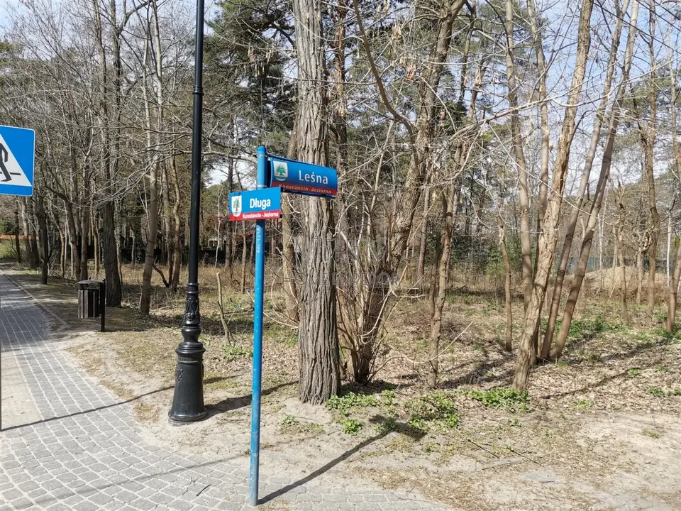 Zdjęcie 5