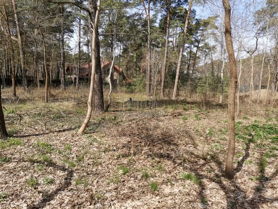 Zdjęcie 6