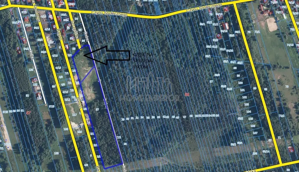 Zdjęcie 6