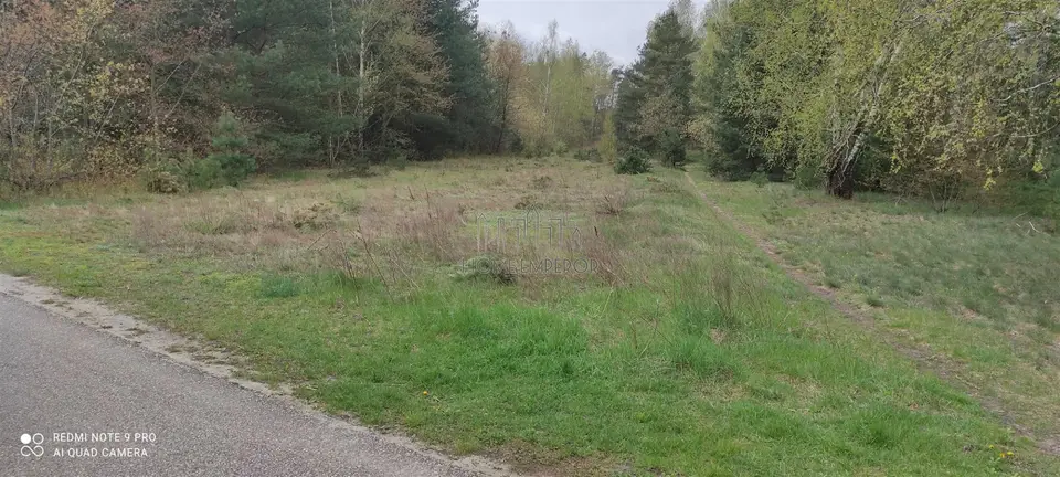 Zdjęcie 7