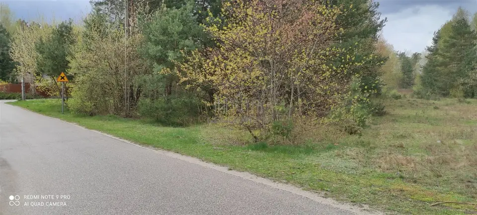Zdjęcie 8